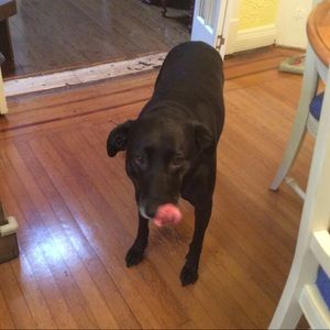 Meet your Posher, Loretta